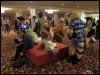 [WildBillTX FWA2010 147]