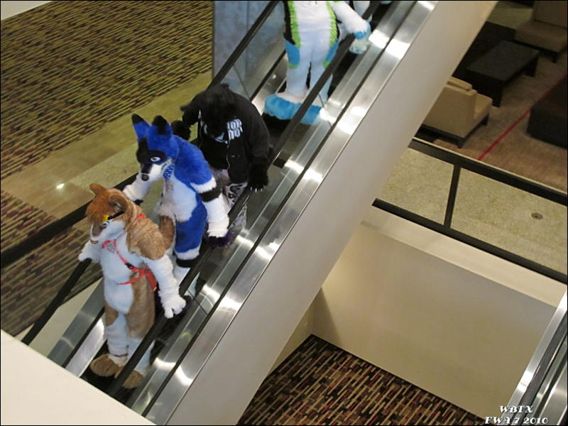 [WildBillTX_FWA2010_179.jpg]