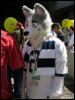 [WildBillTX FWA2010 218]