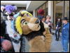 [WildBillTX FWA2010 219]