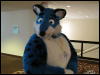 [WildBillTX FWA2010 222]