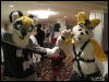 [WildBillTX FWA2010 242]