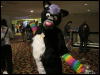 [WildBillTX FWA2010 243]