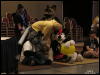 [WildBillTX FWA2010 248]