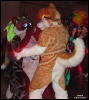 [WildBillTX FWA2010 268]