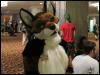 [WildBillTX FWA2010 315]