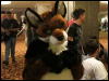 [WildBillTX FWA2010 316]