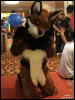 [WildBillTX FWA2010 317]