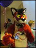 [WildBillTX FWA2010 320]