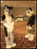 [WildBillTX FWA2010 330]