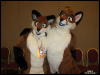 [WildBillTX FWA2010 344]