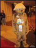 [WildBillTX FWA2010 346]