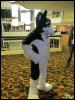 [WildBillTX FWA2010 347]