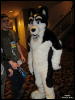 [WildBillTX FWA2010 350]