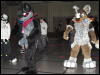 [WildBillTX FWA2010 352]