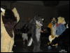 [WildBillTX FWA2010 354]