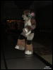 [WildBillTX FWA2010 355]