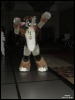 [WildBillTX FWA2010 358]