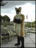 [ZenWolph 01FC2006]