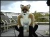 [ZenWolph 01FC2008]