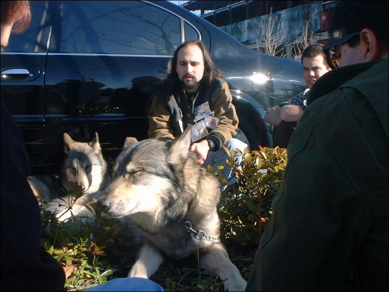 [Fangs_FC2002_059_wolves.jpg]