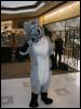 [TuxSkunk FC2003 006]