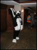 [TuxSkunk FC2003 037]