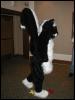 [TuxSkunk FC2003 068]