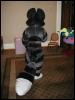 [TuxSkunk FC2003 236]