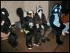 [TuxSkunk FC2003 420]