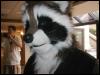 [TuxSkunk FC2003 519]