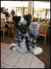 [TuxSkunk FC2003 527]