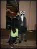 [TuxSkunk FC2003 713]