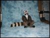 [TuxSkunk FC2003 691]