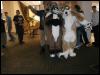 [Tuxskunk FC2004 0042]