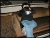 [Tuxskunk FC2004 0196]