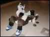 [Tuxskunk FC2004 0199]