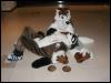 [Tuxskunk FC2004 0200]