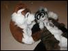 [Tuxskunk FC2004 0203]