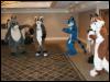 [Tuxskunk FC2004 0258]