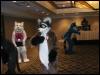 [Tuxskunk FC2004 0265]