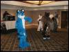 [Tuxskunk FC2004 0269]