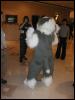 [Tuxskunk FC2004 0276]