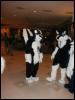 [Tuxskunk FC2004 0293]