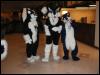 [Tuxskunk FC2004 0294]