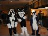 [Tuxskunk FC2004 0295]