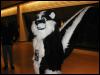 [Tuxskunk FC2004 0301]