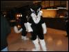 [Tuxskunk FC2004 0303]