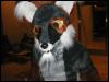 [Tuxskunk FC2004 0312]