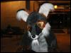 [Tuxskunk FC2004 0314]